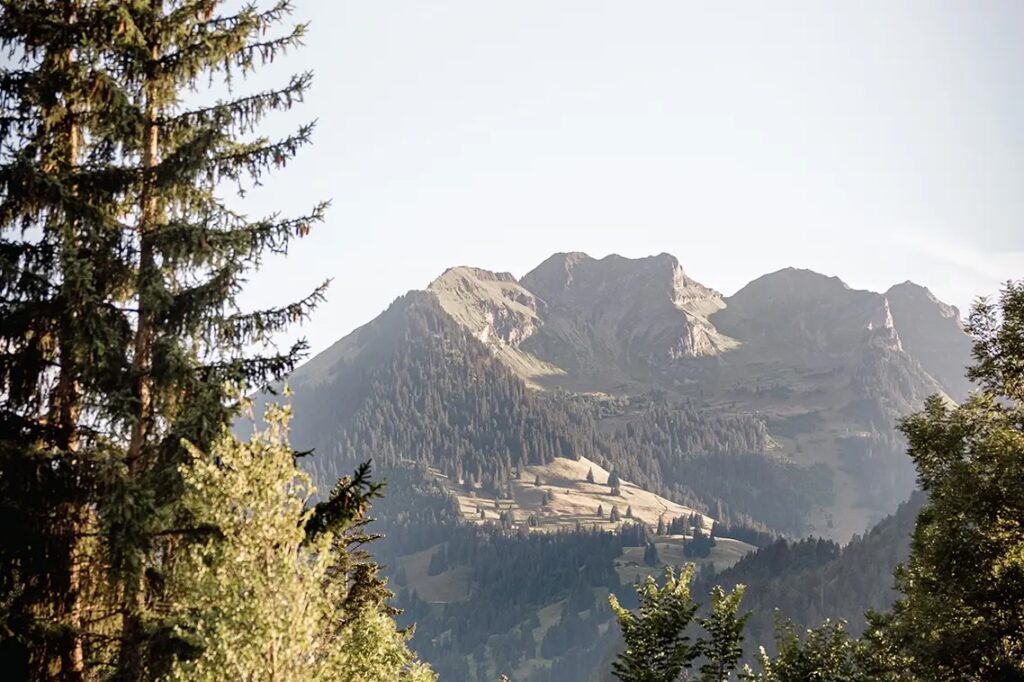 luxury castle hotel - Gstaad Palace, Switzerland