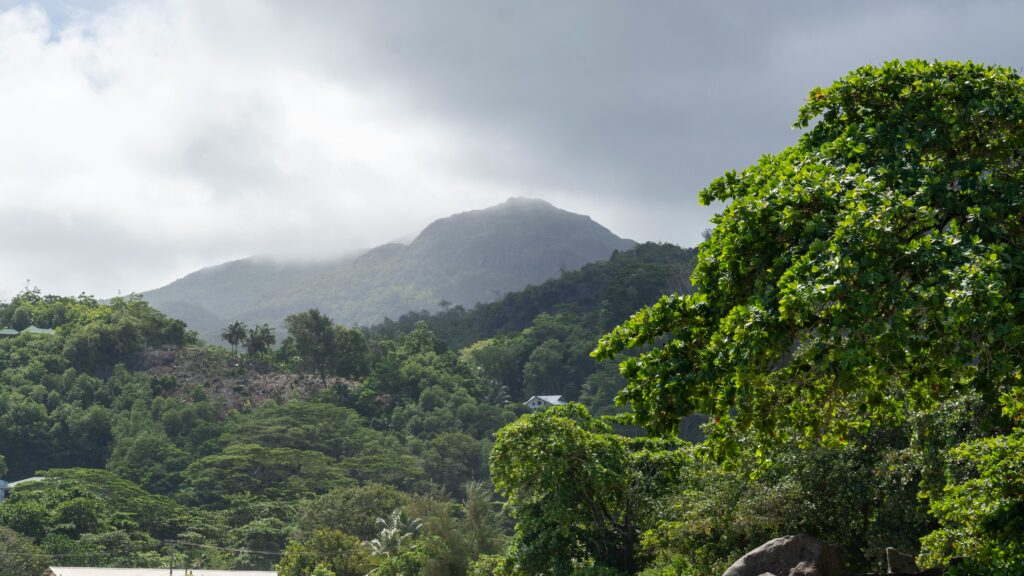 Stunning views of Seychelles that is the perfect solo travel destinations