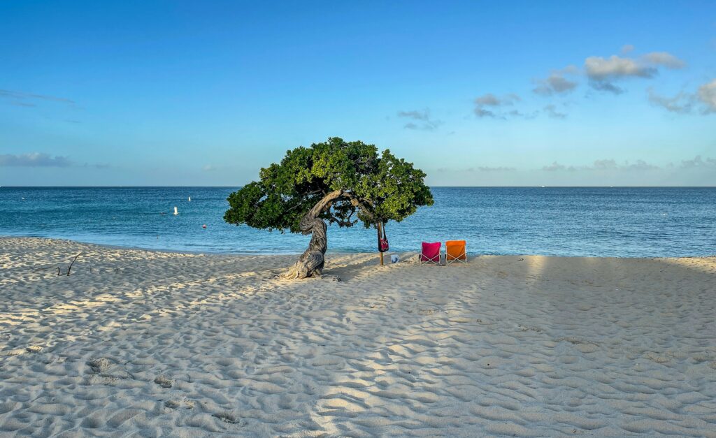 stunning beach views from on a gorgeous Aruba beach